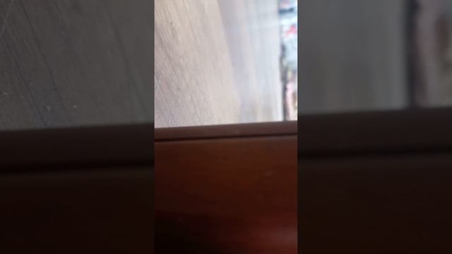 приживал начинает угрожать и выступает часть 35 смотреть онлайн