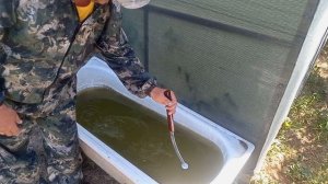 Кистевой квок