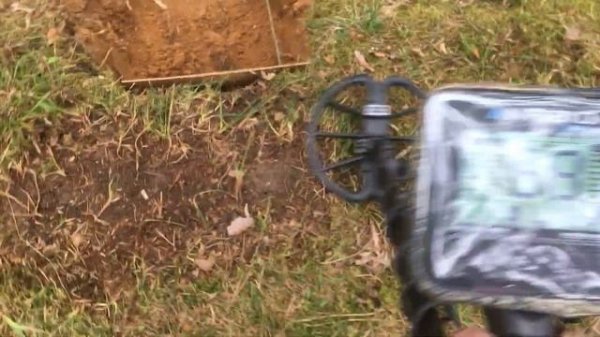 Сравнительный тест Nokta Anfibio multi и Simplex +