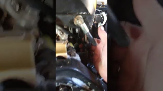 динго 125 смотреть онлайн