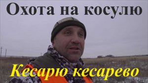 Охота на косулю - Кесарю кесарево