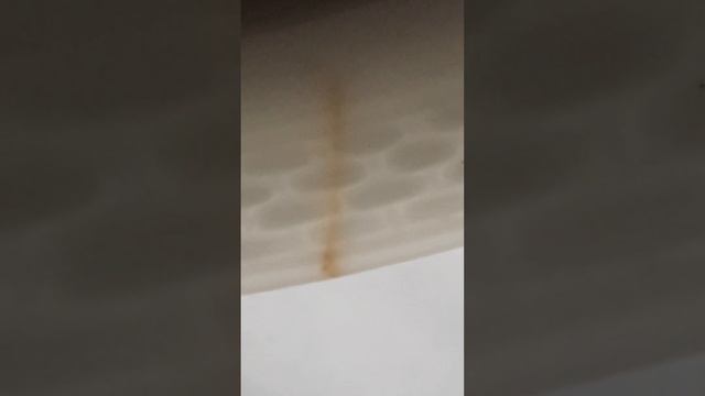 Royal Copenhagen, фарфоровая тарелка  19 век.