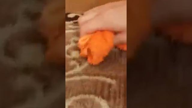 Порошок Mystik _ эксперимент (пятно от йода очищает с ковра) смотреть онлайн