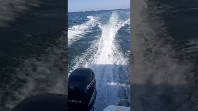 suzuki df 115 cv a 26 nudos смотреть онлайн