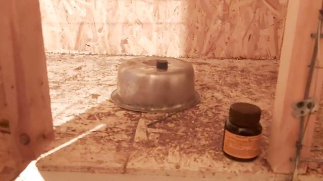 Дым в курятнике! Полная обработка и дезинфекция курятника/ Цыплята #легбар растут даю лекарство смотреть онлайн