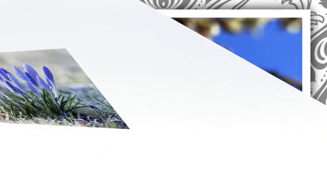 Весна пришла!!! смотреть онлайн