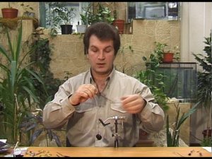 Работа с пером павлина