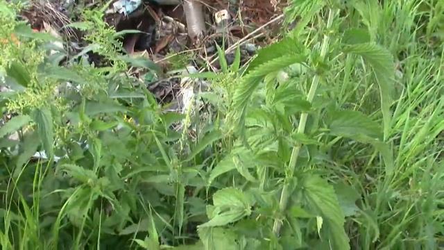 мотоблок за черметом смотреть онлайн