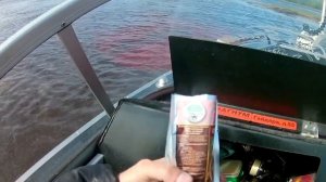 Рыбалка на щуку в начале лета! Щука в Дельте Северной Двины