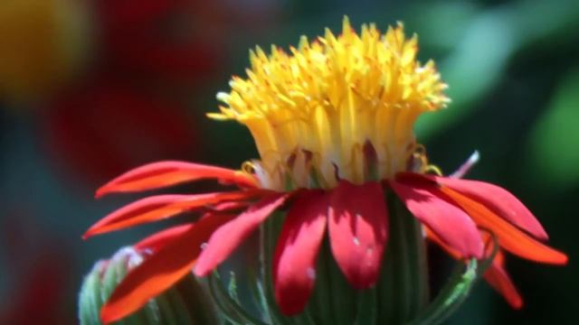 Послание Любви для каждого человека смотреть онлайн