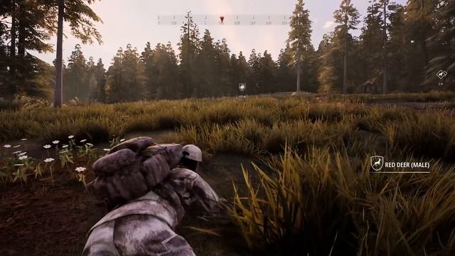 Return Hunt in Europe | Trophy Sika Buck in Hunting Sim 2! смотреть онлайн