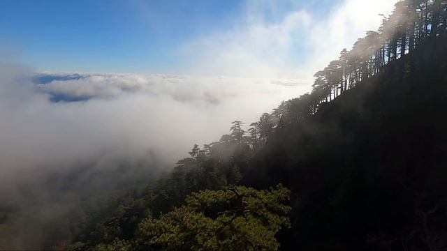 Пешком на АЙ-ПЕТРИ. Таракташская Тропа. ЧУДО КРЫМА КОТОРОЕ НУЖНО УВИДЕТЬ СВОИМИ ГЛАЗАМИ. смотреть онлайн