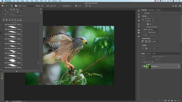 Free HIGH QUALITY Custom Brushes in Photoshop смотреть онлайн