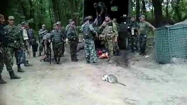 Как бандеровцы едят детей смотреть онлайн
