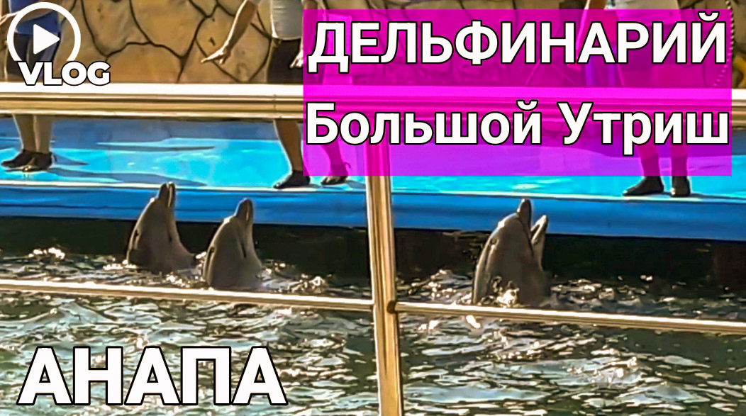 Дельфинарий Большой Утриш Анапа Краснодарский край смотреть онлайн