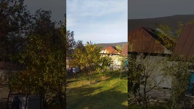 test video01 смотреть онлайн