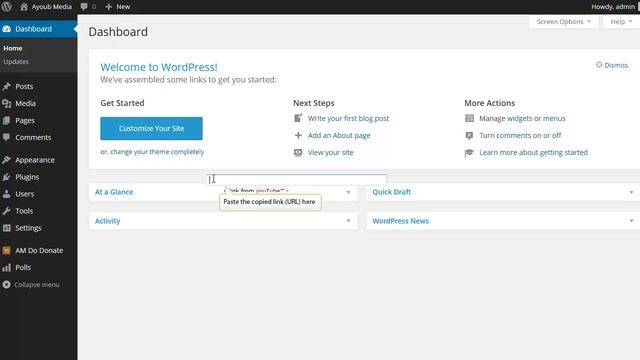 wordpress plugin - AM YouTube it 1.0 смотреть онлайн