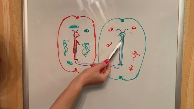 Юлия Даниулова. Практика Качели. Энергообмен. смотреть онлайн