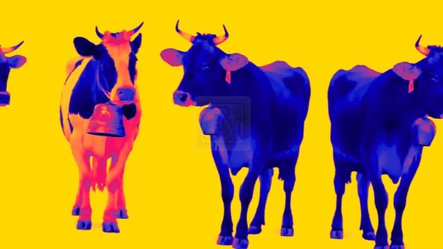 COW DANCE | CRAZY COW DANCE (101 song) | Cow dance 01 | crazy cow dance смотреть онлайн