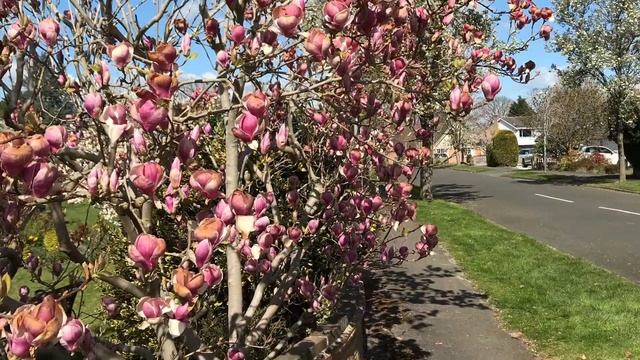 12 АПРЕЛЯ - Новая ЖИЗНЬ. Открываются магазины, пабы и парикмахерские смотреть онлайн