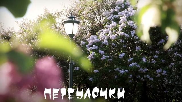 Переулочки - стихи, лирика смотреть онлайн
