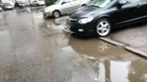 Засняли палочника огромный монстр