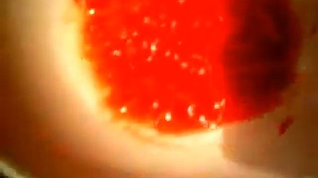 Пицца Без духовки. смотреть онлайн