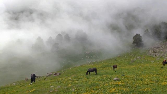 Клаудио С. Маттос. Rocking Chair. Тиберда смотреть онлайн