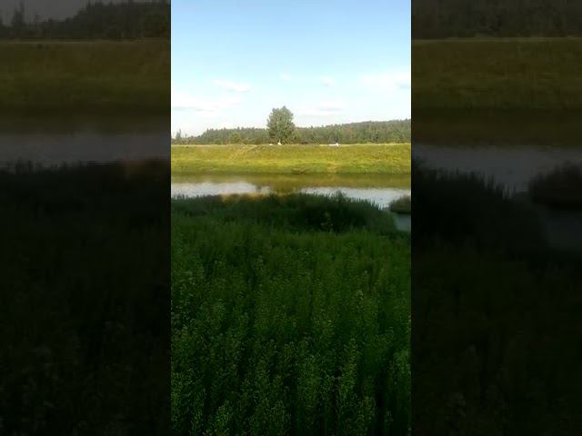 25 июля 2022 г. смотреть онлайн