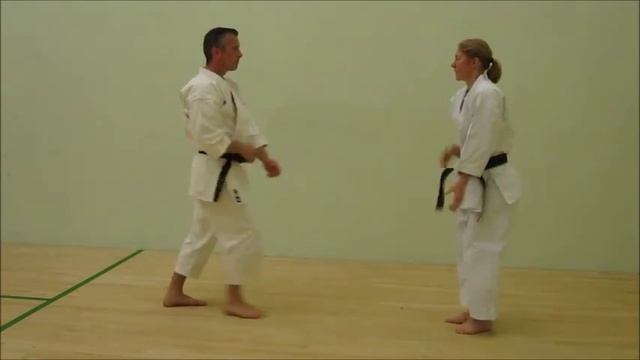 Wado Kai Karate Kumite Gata 1 - 10 смотреть онлайн