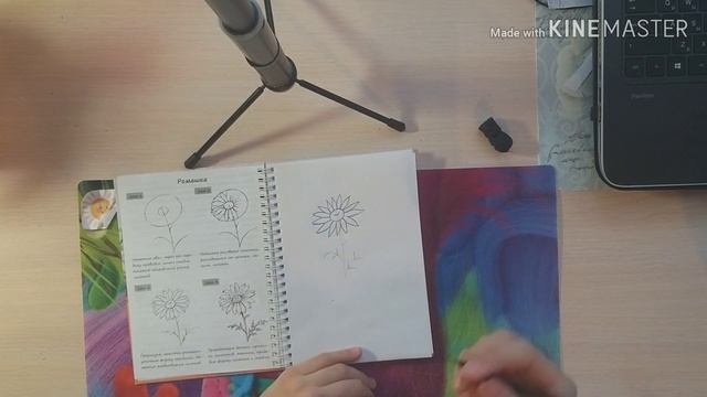РИСУЮ РИСУНКИ ПОЭТАПНО. ЦВЕТЫ. РИСУНОК 1. РОМАШКА смотреть онлайн
