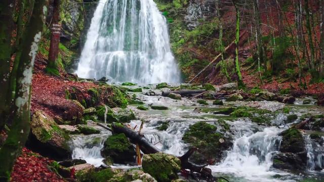 Слушай это каждый вечер перед сном и увидеш, как начнешь меняться