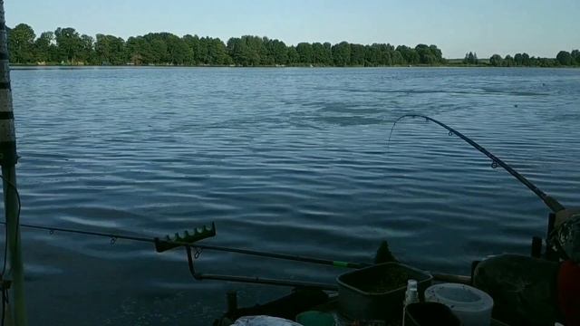 Поехал ловить карася, а брал лещ ,?10кг рыбы. Фидерная рыбалка на Осиповичском водохранилище. смотреть онлайн