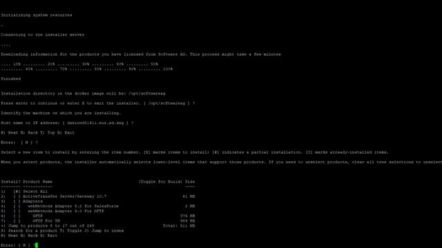 Building Custom Docker Images Using Installer 10.7 | Software AG смотреть онлайн