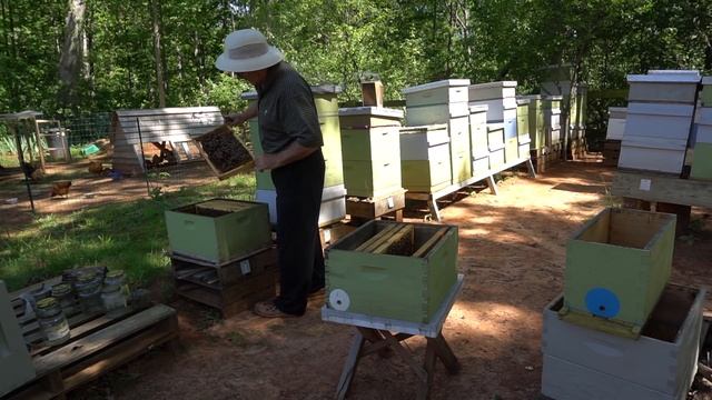 Пасека #5 Как сделать пчелиные отводки для продажи? Часть 1 смотреть онлайн