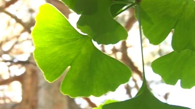 Екополіс на 25 06 15 смотреть онлайн