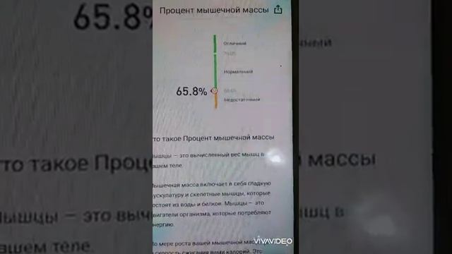 УМНЫЕ ВЕСЫ ОТ ФАБЕРЛИК ???? смотреть онлайн