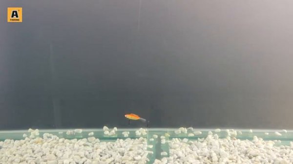 Балансир Akara Pro Action Tensai