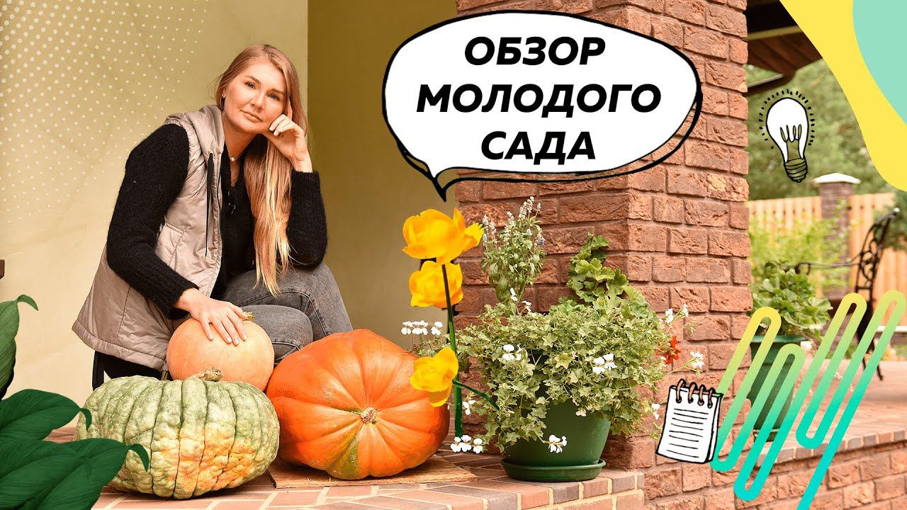 Обзор молодого сада | Ландшафтный дизайн 20 соток | Плодовый сад | Цветники непрерывного цветения смотреть онлайн