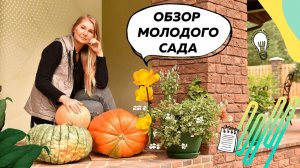 Обзор молодого сада | Ландшафтный дизайн 20 соток | Плодовый сад | Цветники непрерывного цветения