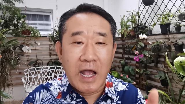 INCRÍVEL DESCOBERTA DA CIÊNCIA SOBRE A FOLHA DE LOURO COMO TEMPERO | Peter Liu смотреть онлайн