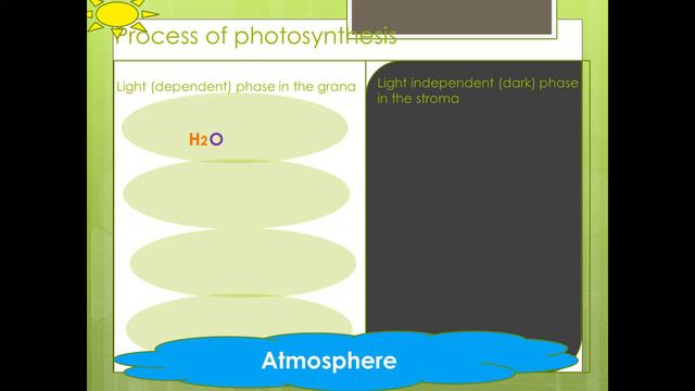 Grade 11 Photosynthesis Detailed Process Made Logical.