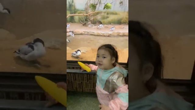 Московский Зоопарк вместе с нами смотреть онлайн