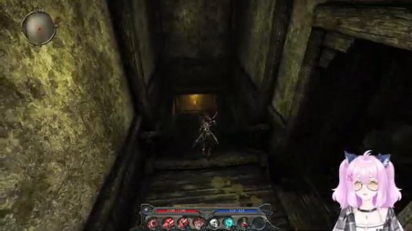 Divinity 2 Developers Cut#45 - сдаемся и ищем все Рычаги и Руны.