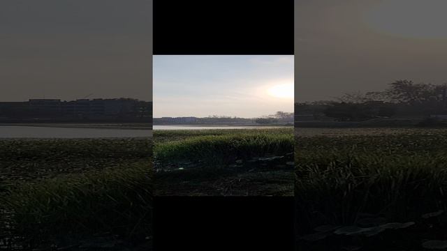 Boat avenue Пхукет. #Shorts