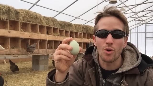Why store eggs point down? смотреть онлайн