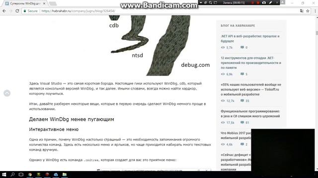 NET DEVELOPING смотреть онлайн