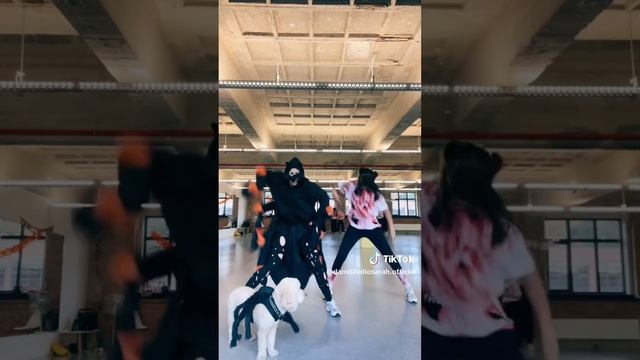 This Is Halloween TikTok Compilation - Halloween Dance Challenge 2023 #dance #halloween2023 смотреть онлайн