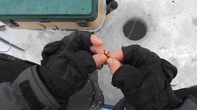 отличная предновогодняя рыбалка на озере Свирь смотреть онлайн