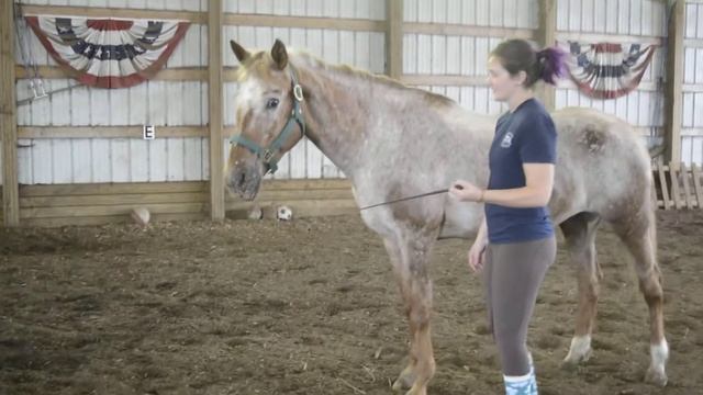 Tango liberty work смотреть онлайн